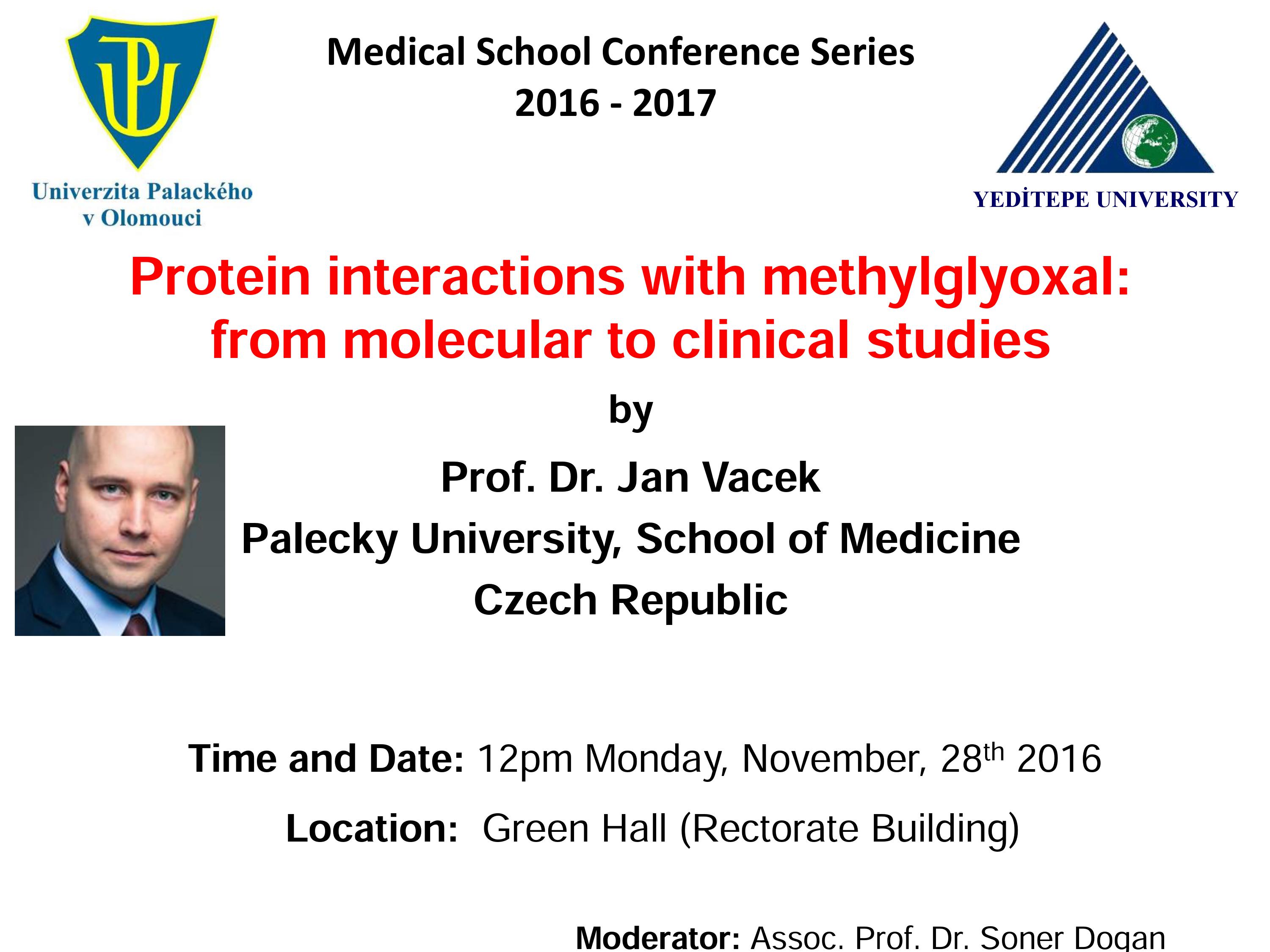 Protein interactions with methylglyoxal: from molecular to  clinical studies