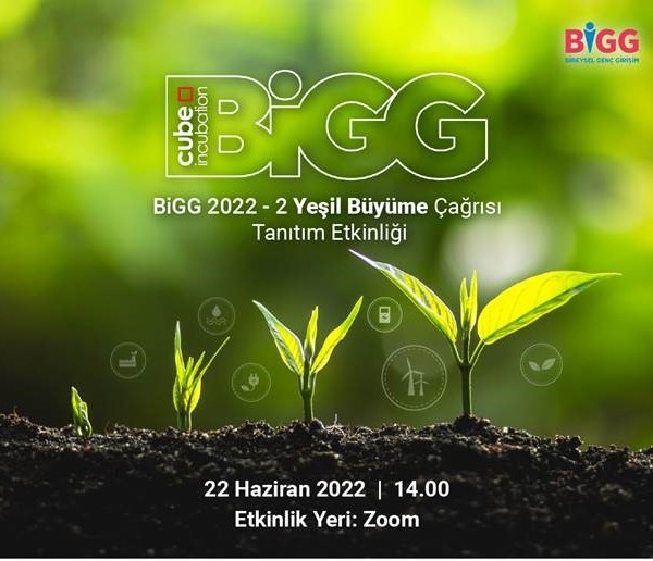 bgg