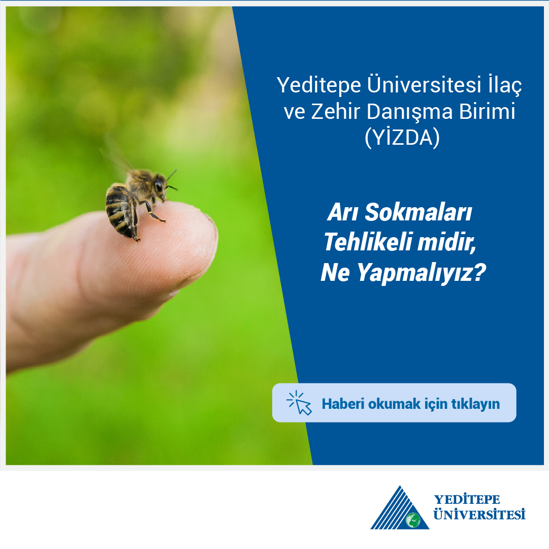 Arı sokmaları tehlikeli midir, ne yapmalıyız?