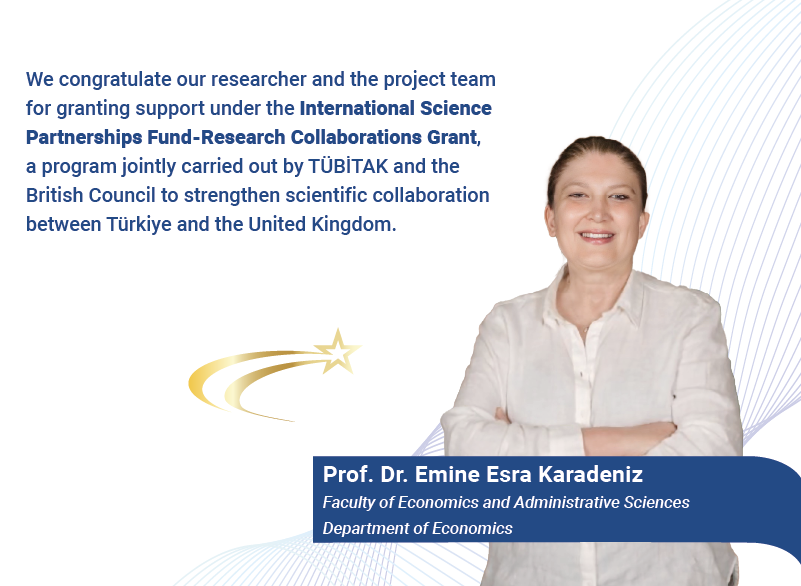 Collaboration Between Yeditepe University and Aston University