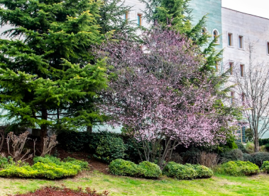 Green Campus in the Heart of the City