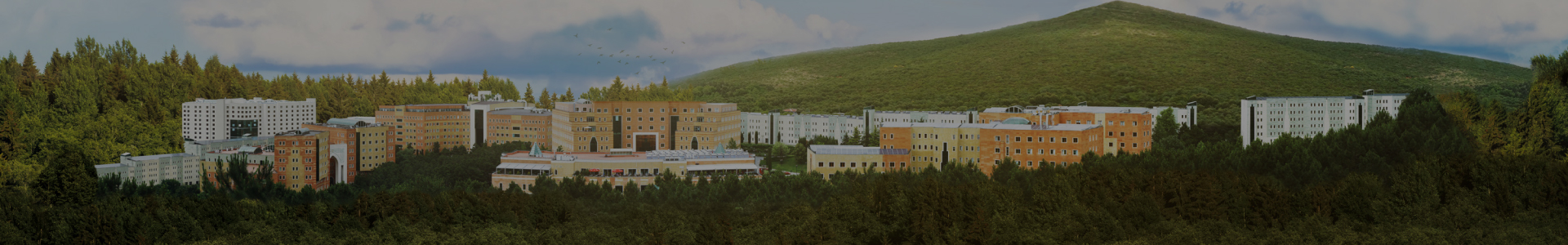 yeditepe 360