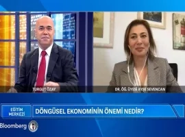 egitim