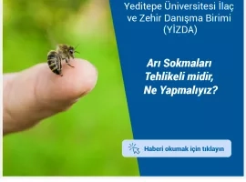 Arı sokmaları tehlikeli midir, ne yapmalıyız?