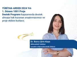Burcu Şirin Kaya